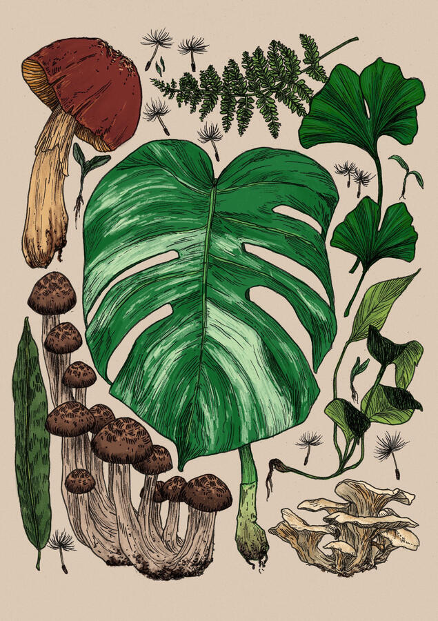 Plant Poster