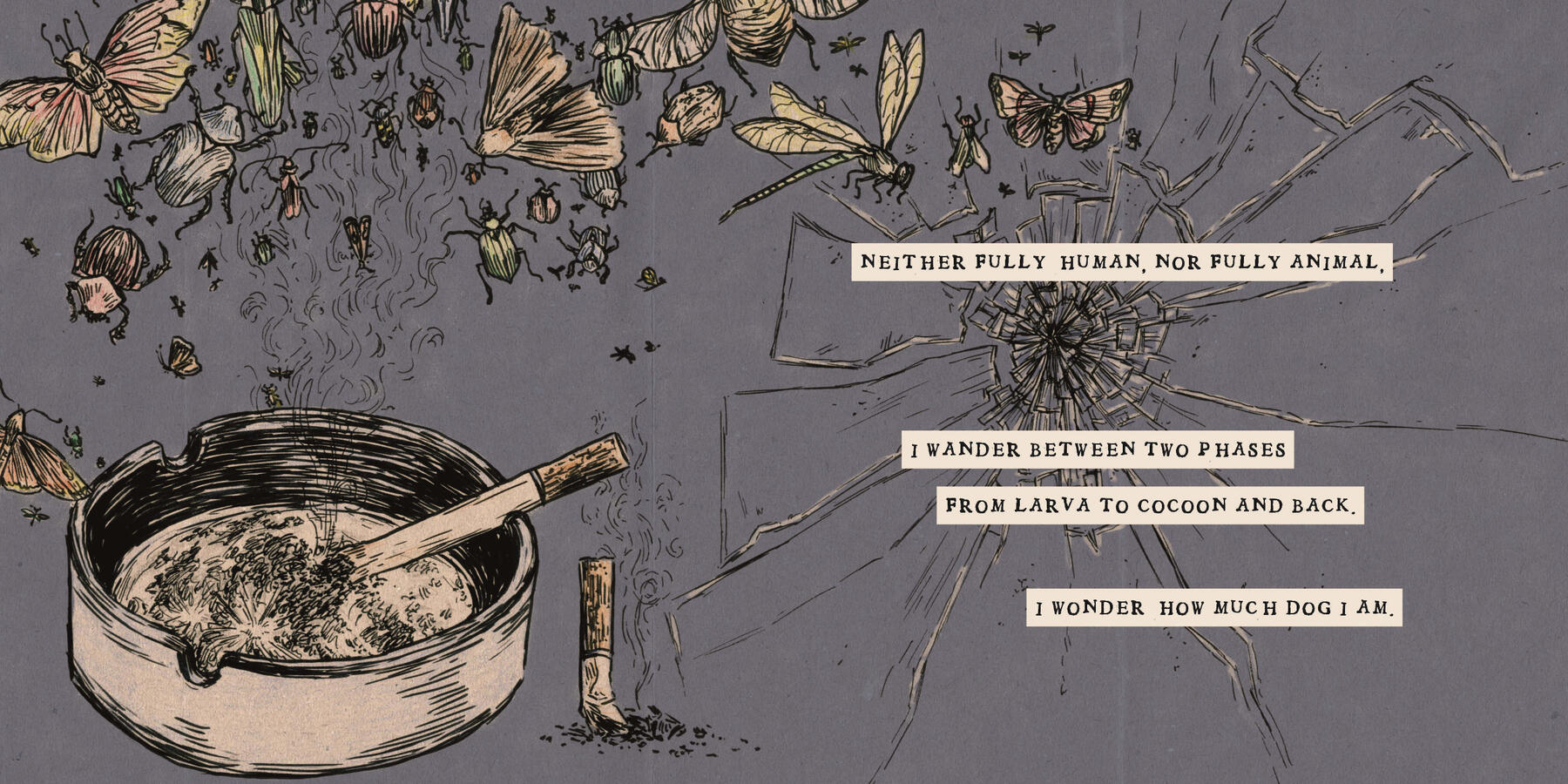 Someone's In The Wolf (excerpt)