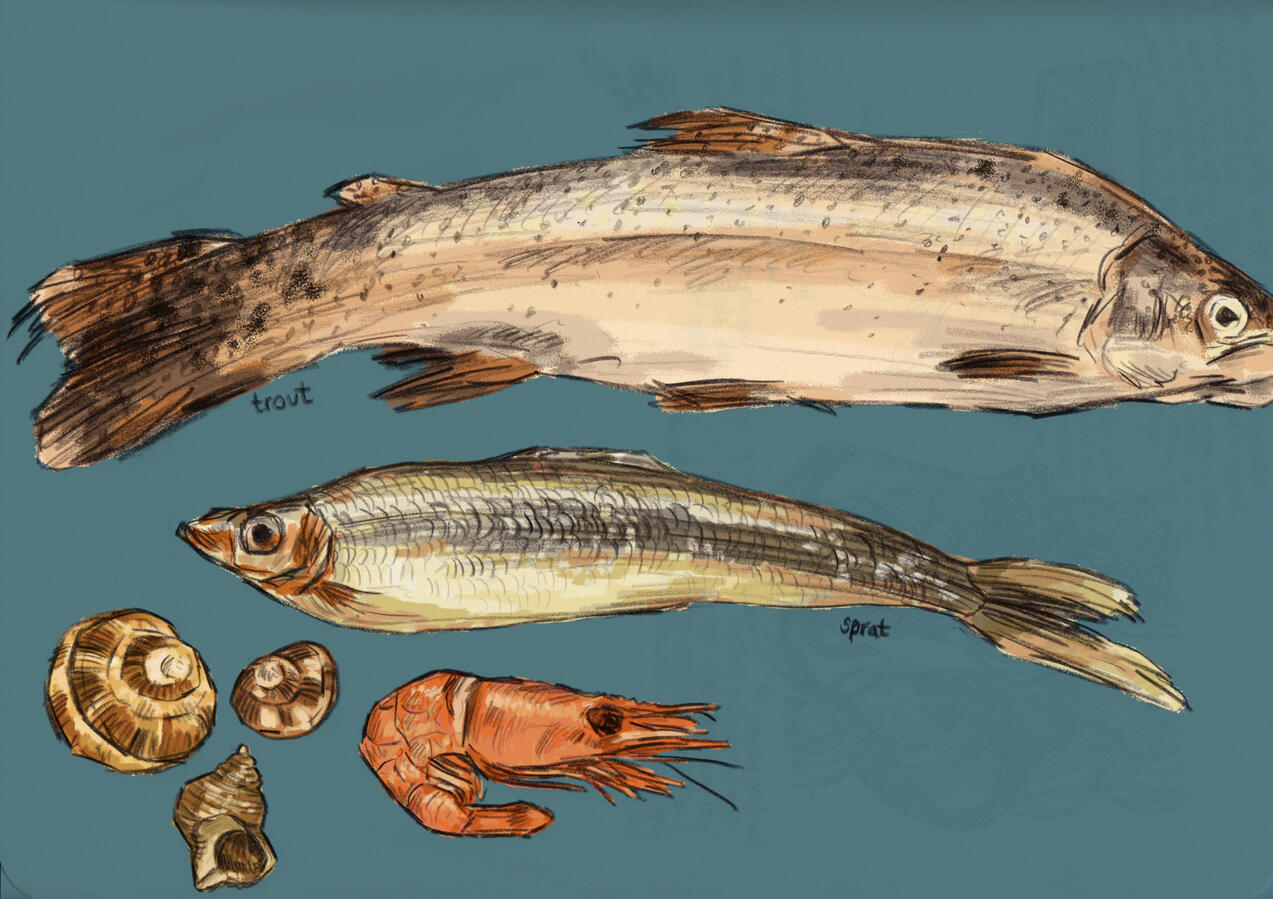 Fish study