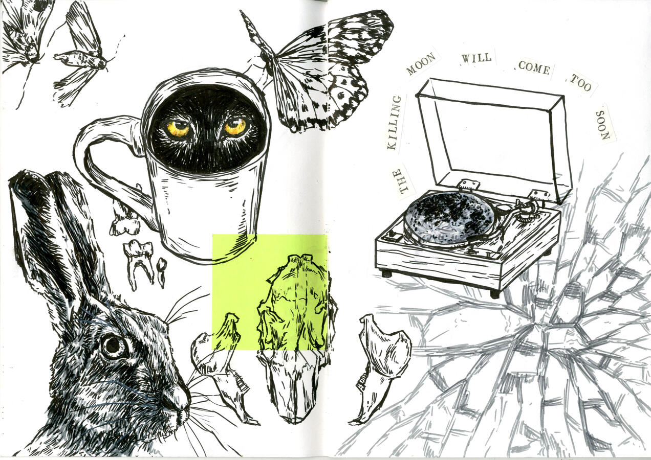 Sketchbook