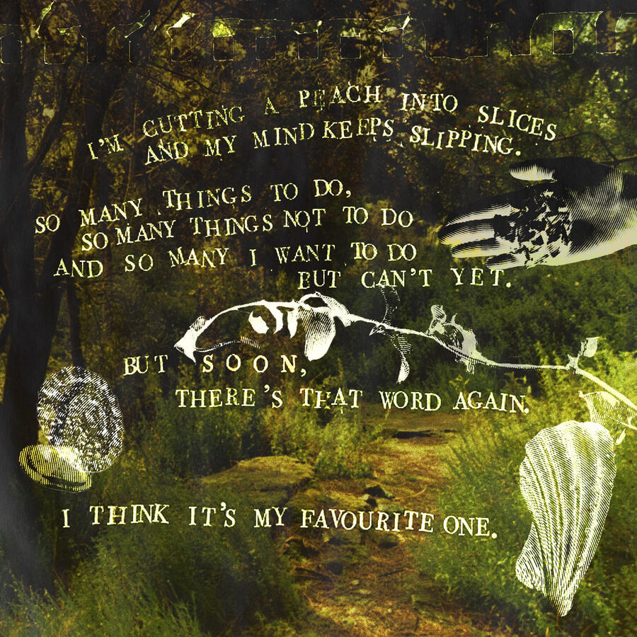 Digital Collage