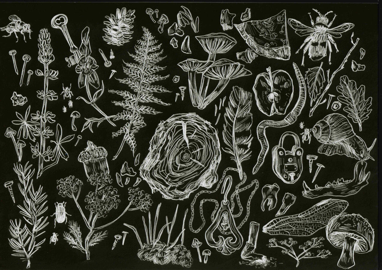 Forest sketch