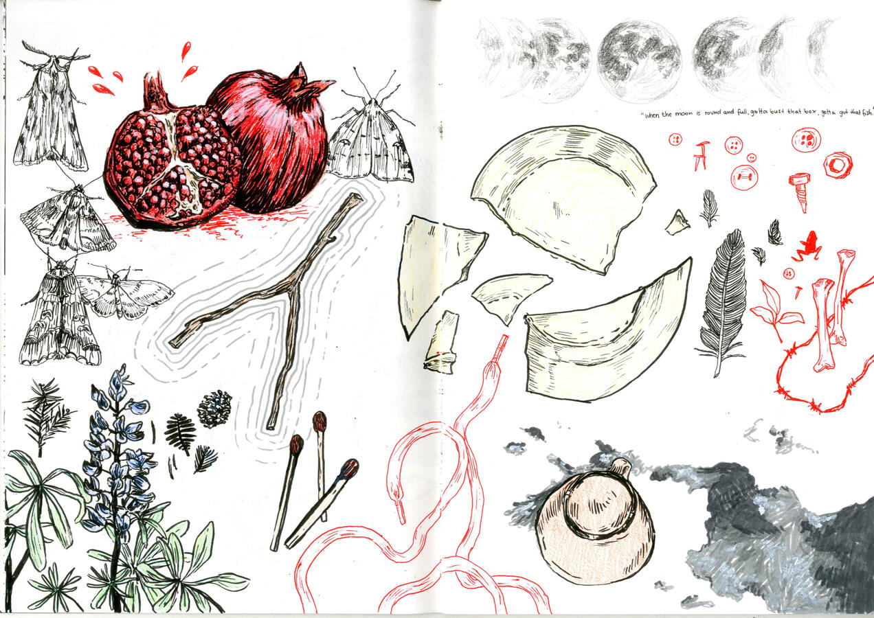 Sketchbook